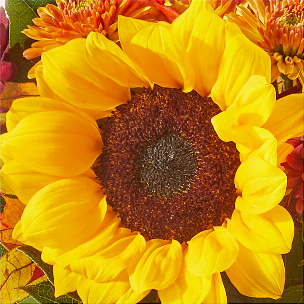 Sunny Side Bouquet – HARRY'S FLOWERS, Victoria BC