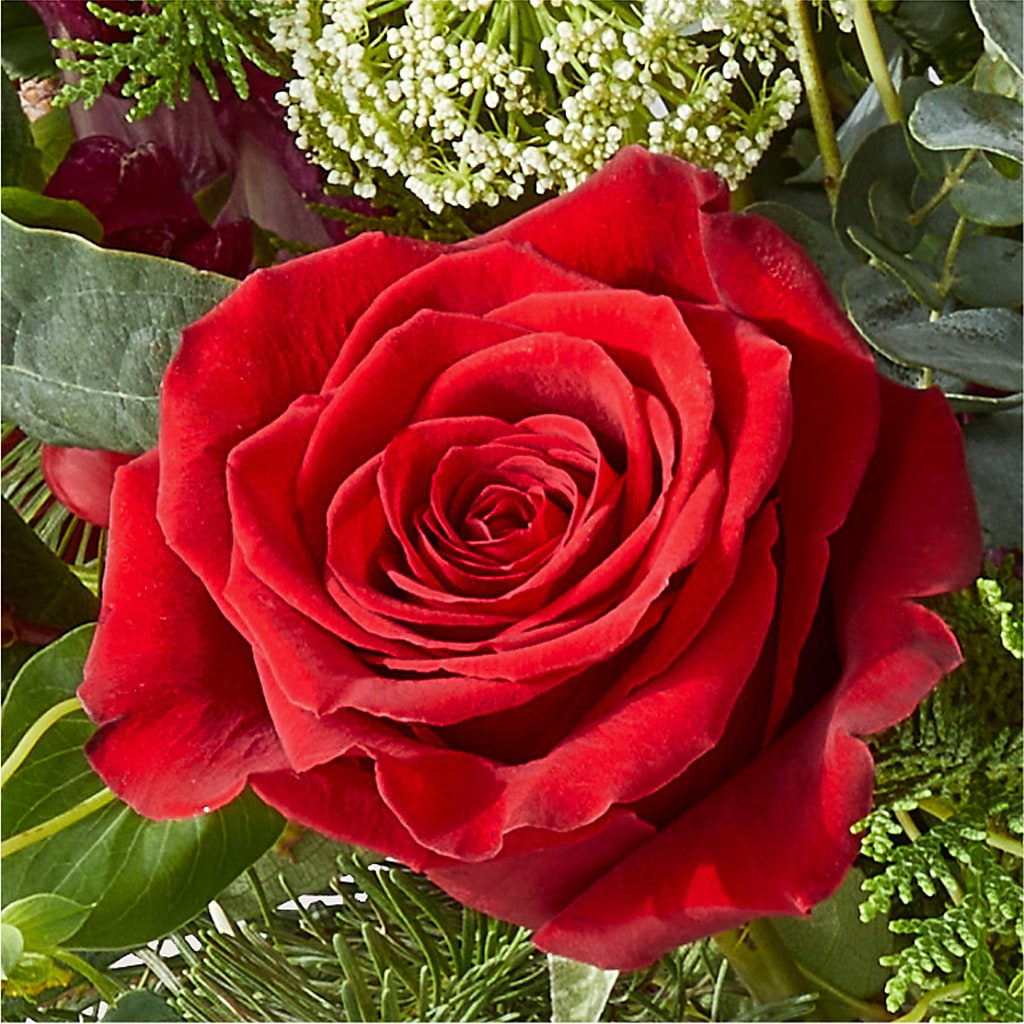 Cranberry Fizz Bouquet – HARRY'S FLOWERS, Victoria BC
