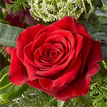 Cranberry Fizz Bouquet – HARRY'S FLOWERS, Victoria BC