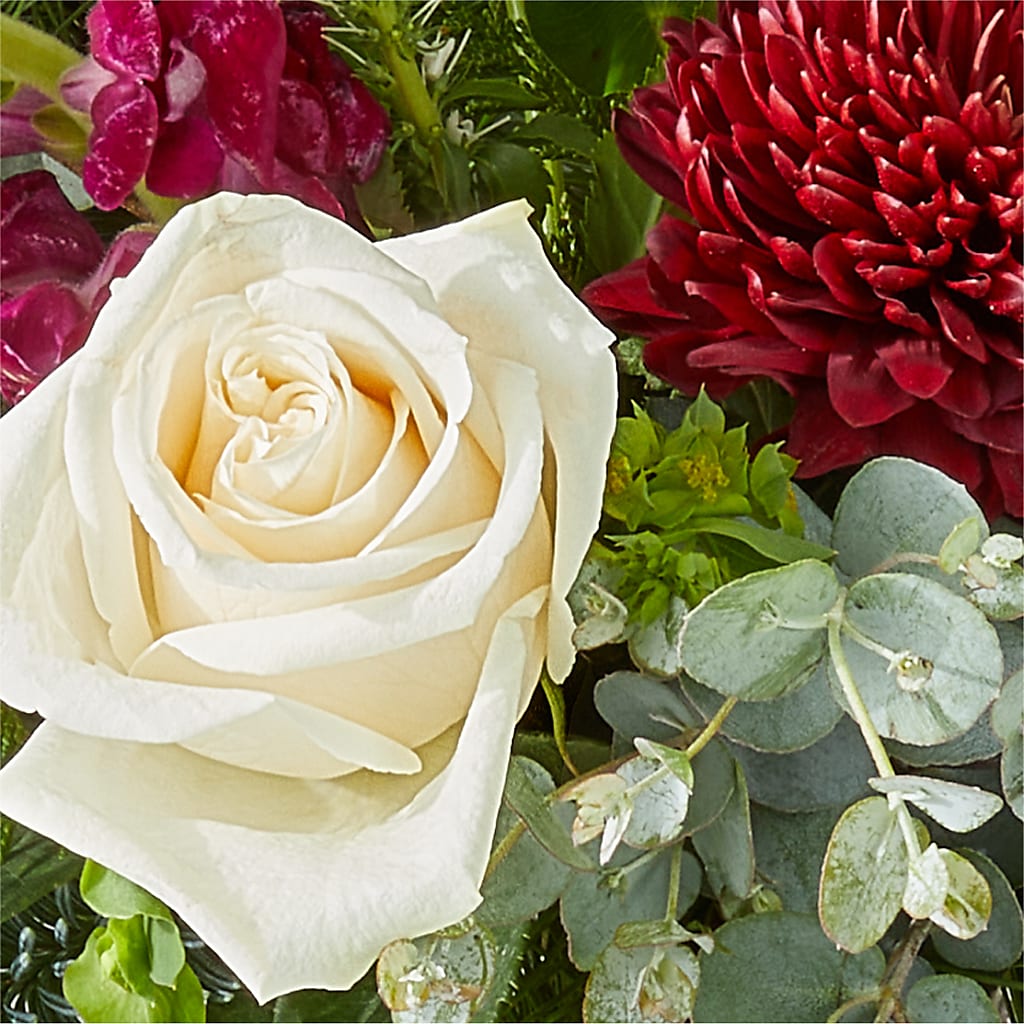 Cranberry Fizz Bouquet – HARRY'S FLOWERS, Victoria BC