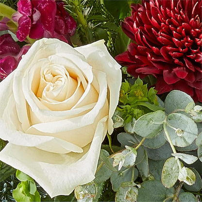 Cranberry Fizz Bouquet – HARRY'S FLOWERS, Victoria BC