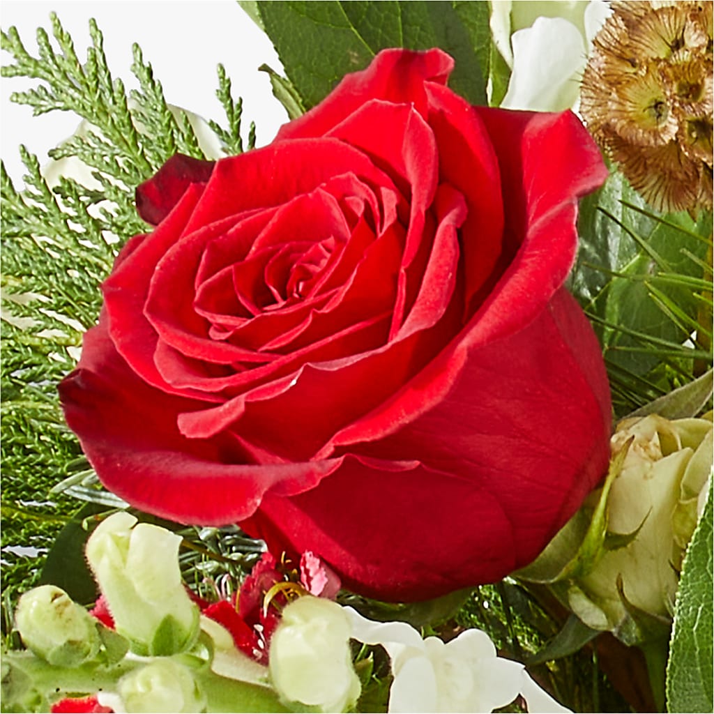 Deck the Halls Bouquet – HARRY'S FLOWERS, Victoria BC