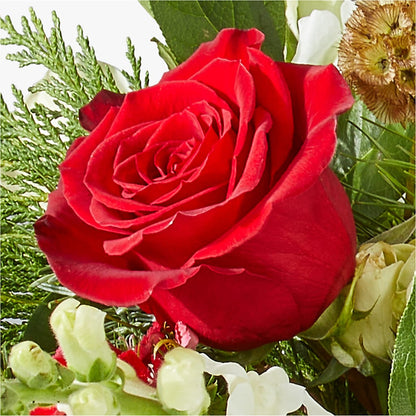 Deck the Halls Bouquet – HARRY'S FLOWERS, Victoria BC