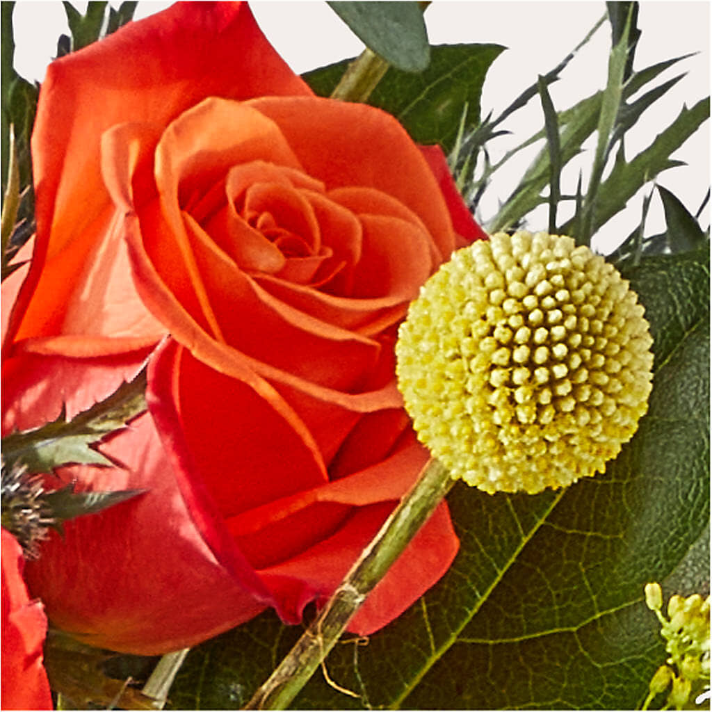 Disco Bouquet – HARRY'S FLOWERS, Victoria BC