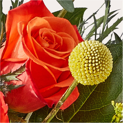 Disco Bouquet – HARRY'S FLOWERS, Victoria BC