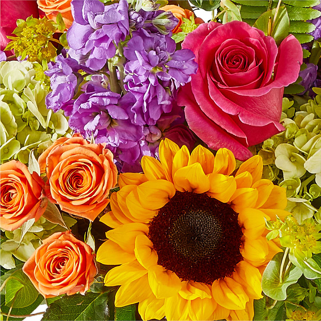 Vibrant Greetings Bouquet – HARRY'S FLOWERS, Victoria BC