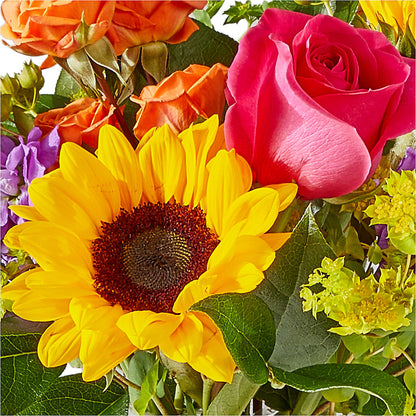 Vibrant Greetings Bouquet – HARRY'S FLOWERS, Victoria BC