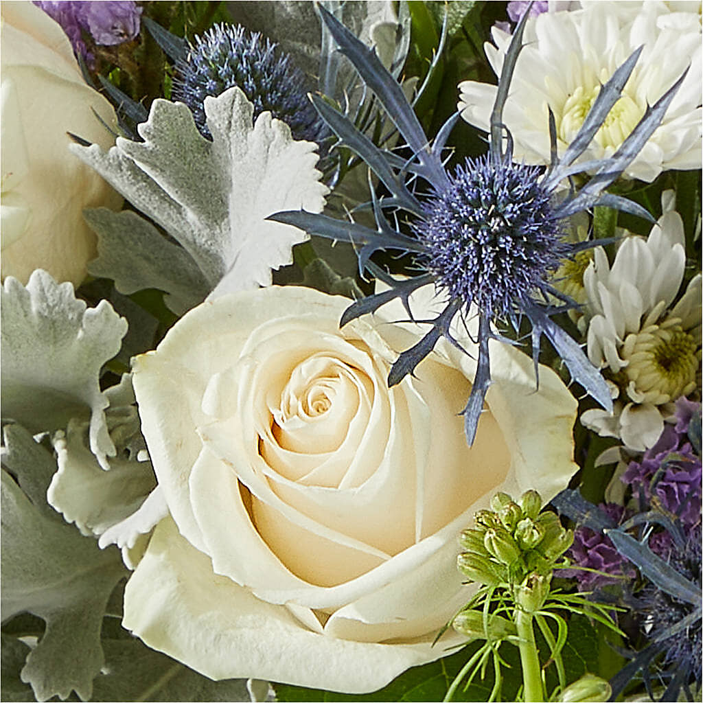 Shooting Star Bouquet – HARRY'S FLOWERS, Victoria BC