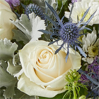 Shooting Star Bouquet – HARRY'S FLOWERS, Victoria BC