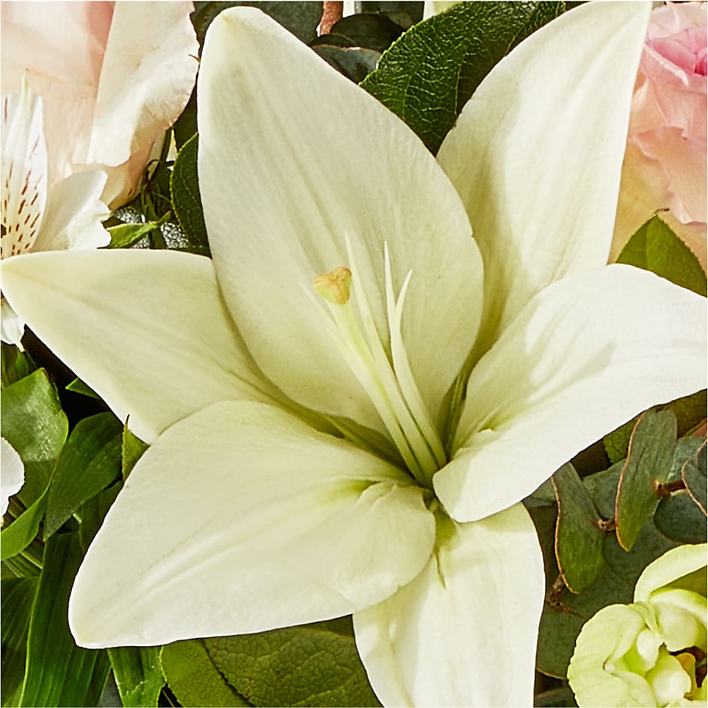 Ballet Slippers Bouquet – HARRY'S FLOWERS, Victoria BC