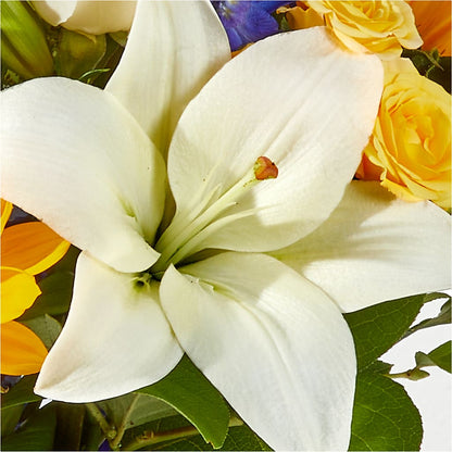 Wonderfully Sunny Bouquet – HARRY'S FLOWERS, Victoria BC