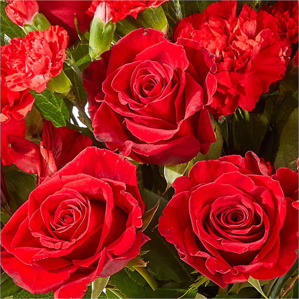 The Heartstrings Bouquet – HARRY'S FLOWERS, Victoria BC