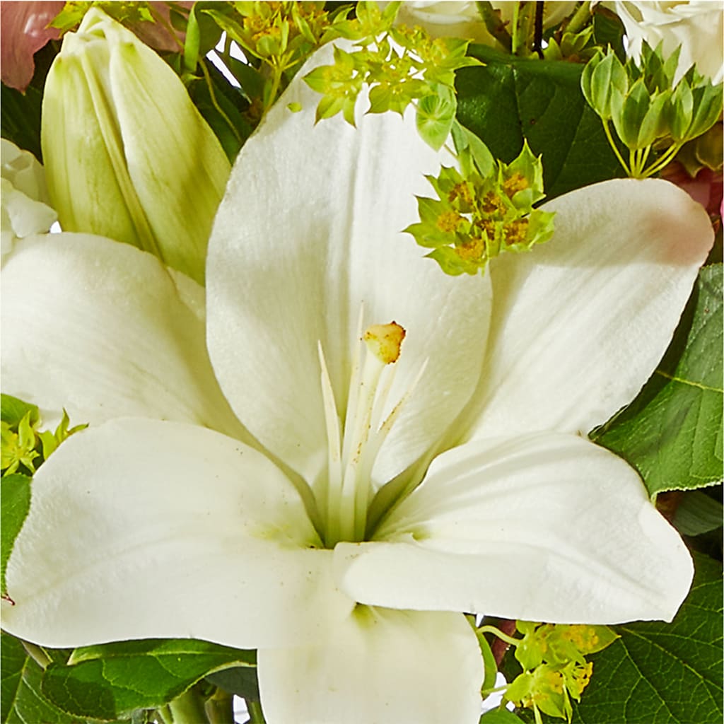 Fondly Bouquet – HARRY'S FLOWERS, Victoria BC