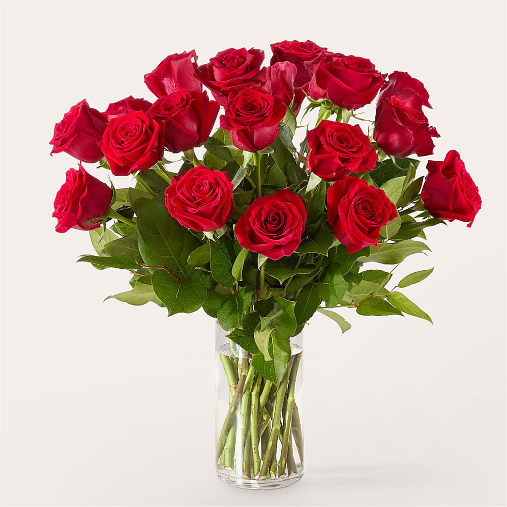 The One Red Rose Bouquet – HARRY'S FLOWERS, Victoria BC