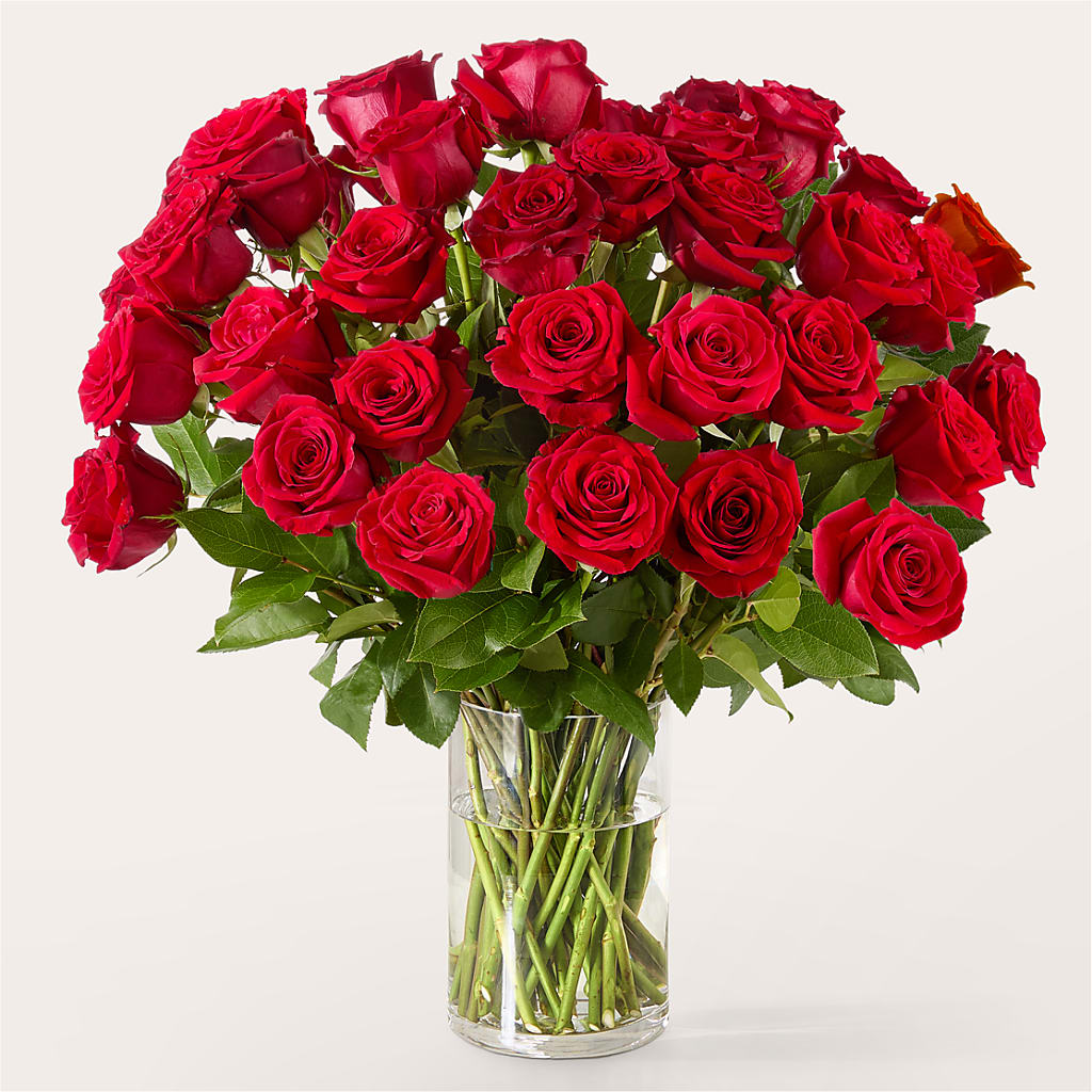 The One Red Rose Bouquet – HARRY'S FLOWERS, Victoria BC