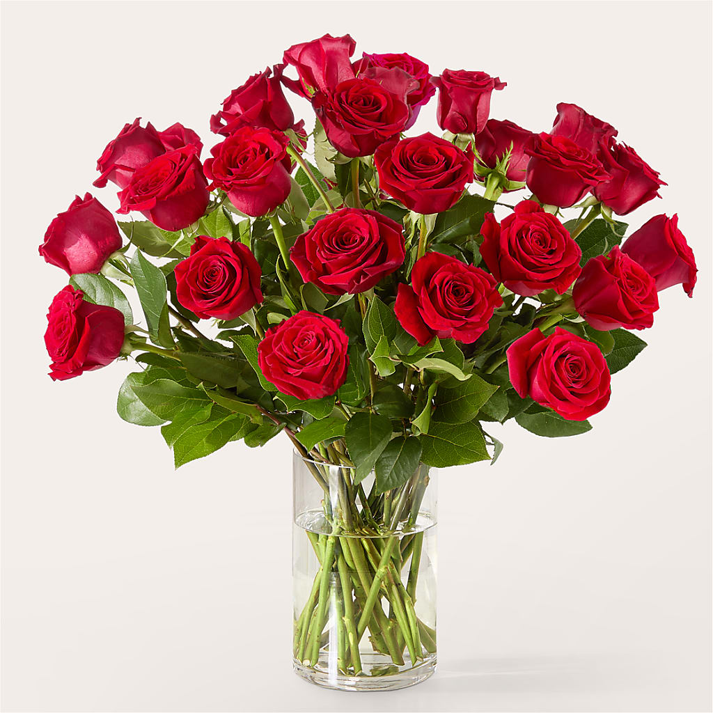 The One Red Rose Bouquet – HARRY'S FLOWERS, Victoria BC