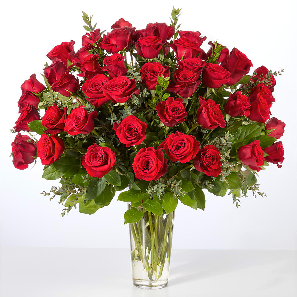 Forever Yours Fifty Stem Red Rose Bouquet – HARRY'S FLOWERS, Victoria BC