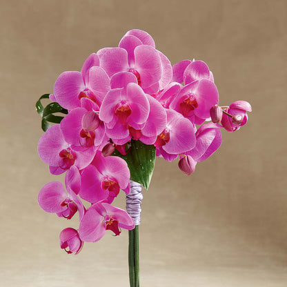 Glorious Bouquet – HARRY'S FLOWERS, Victoria BC