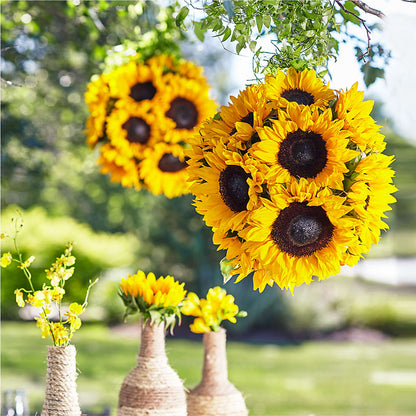 Sublime Garden Hanging Arrangement – HARRY'S FLOWERS, Victoria BC