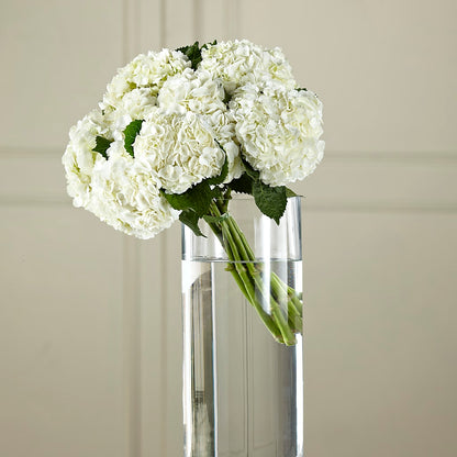 White Hydrangea Hand-Tied Bouquet – HARRY'S FLOWERS, Victoria BC