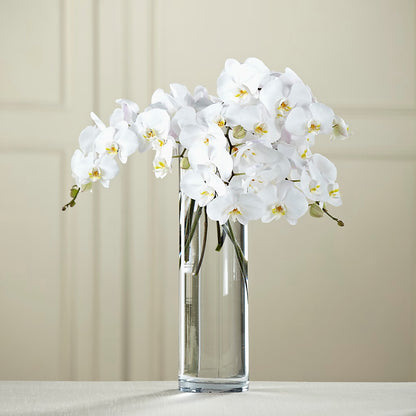 White Phalaenopsis Bouquet – HARRY'S FLOWERS, Victoria BC