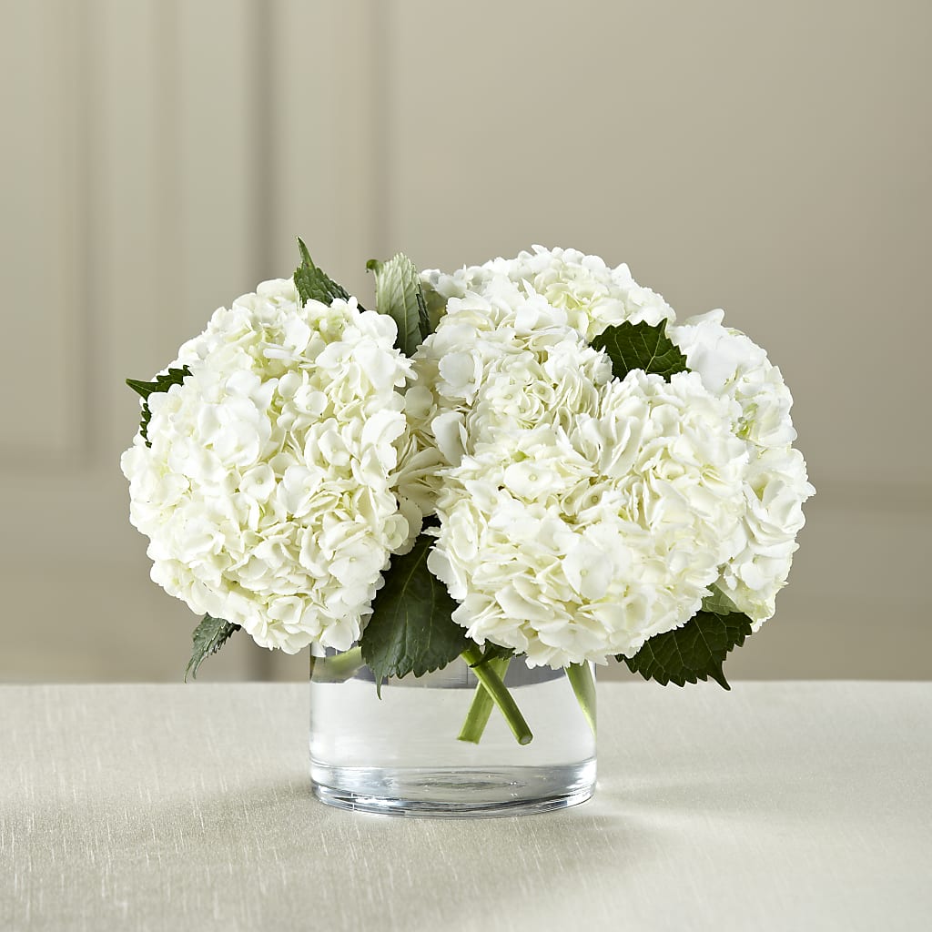 White Hydrangea Bouquet – HARRY'S FLOWERS, Victoria BC