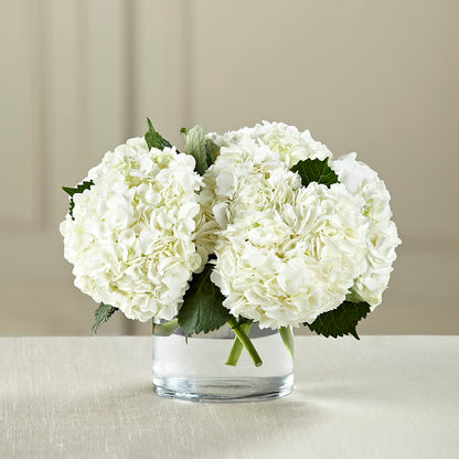White Hydrangea Bouquet – HARRY'S FLOWERS, Victoria BC